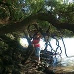 Susan Stapleton - @susanstapleton2014 - Instagram