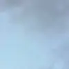 SUSAN Stapleton - @susan.stapleton - TikTok