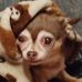 Susan Starkey - Facebook
