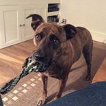 Susan Starkey - @susanstarkey7 - Instagram