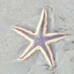 Susan Starkey - @susan.starkey.77 - Instagram