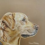 susan starkey - @susanstarkeyart - Instagram