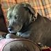 Susan Voeste Stauder - Facebook