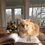 Susan Stec - Facebook
