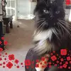 Susan Stecker - @susanstecker - TikTok