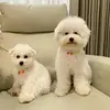 Stefani susanto - @stefani_susanto - TikTok