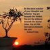 Susan Steinborn - Facebook