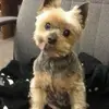 Susan Estenson - @susanestenson - TikTok