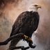 Susan Stenson - Facebook