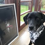 Susanne Echelmeyer Stenzel - @susanne_echelmeyer_stenzel - Instagram