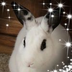 Susan Stienstra - @susansv57 - Instagram