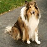 Susan Stiles - @susan.stiles.52 - Instagram