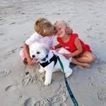 Susan Stiles - @susanstiles63 - Instagram