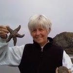 Susan Stillinger - @susan.stillinger - Instagram