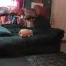 susan stillings - @susanstillings - TikTok