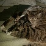 Susan Stockinger - @susanstockinger - Instagram