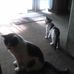 Susan Stoler - Facebook