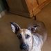 Susanne Stolte - Facebook