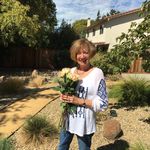 Susan Stoltz - @susan.stoltz.965 - Instagram