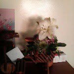 susan - @susanstoltz1 - Instagram