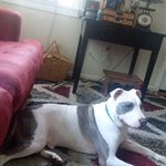 Susan Stoneking - @s.stoneking122020 - Instagram