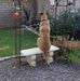 Susan Stoneking Kodama - Facebook