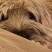 Sue Strachan - Facebook