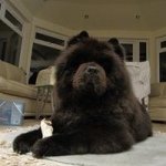 Susan Strachan - @suziestra - Instagram
