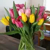 susanstrachan540 - @susanstrachan540 - TikTok