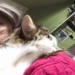 Susan Strand - @mommasuza - Instagram
