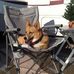 Susan Strand - Facebook