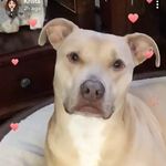 Susan Strand - @ntsr549 - Instagram