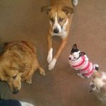 Susan Strand StJohn - @susan.s.stjohn - Instagram