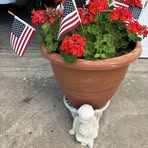 Susan Strate - Facebook