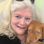 Susan Grimes Strawbridge - @susangrimesstrawbridge - Instagram