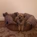 Susan Strawbridge - Facebook