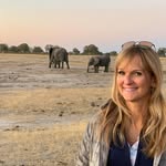 Susan Stribling - @susanstrib - Instagram