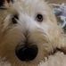 Susie Strohl - Facebook