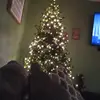 Susan Saunders Stuck - @susansaundersstucky - TikTok