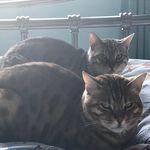 Susan Sturrock - @sturrocksusan - Instagram
