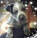 Susan Styles - Facebook