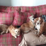 susan.suggett - @susan.suggett - Instagram
