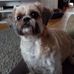 Susan Swindells - Facebook