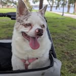 Susan Taft - @susan_taft24 - Instagram