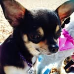Susan Taft - @taft.susan8 - Instagram