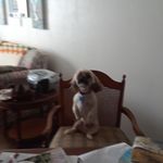 Susan Tarver - @suzzytarver6 - Instagram