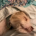 Susan Ann Tedder - @susan.a.tedder - Instagram