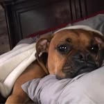 Susan Beaudry Teeple - @susanteeple - Instagram