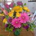 Susan Janet Teter - Facebook