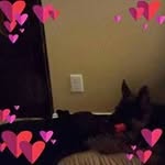 Susan Thorburn - @susan.thorburn.56 - Instagram